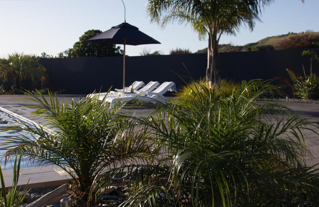 Motel Oasis Gisborne Dış mekan fotoğraf